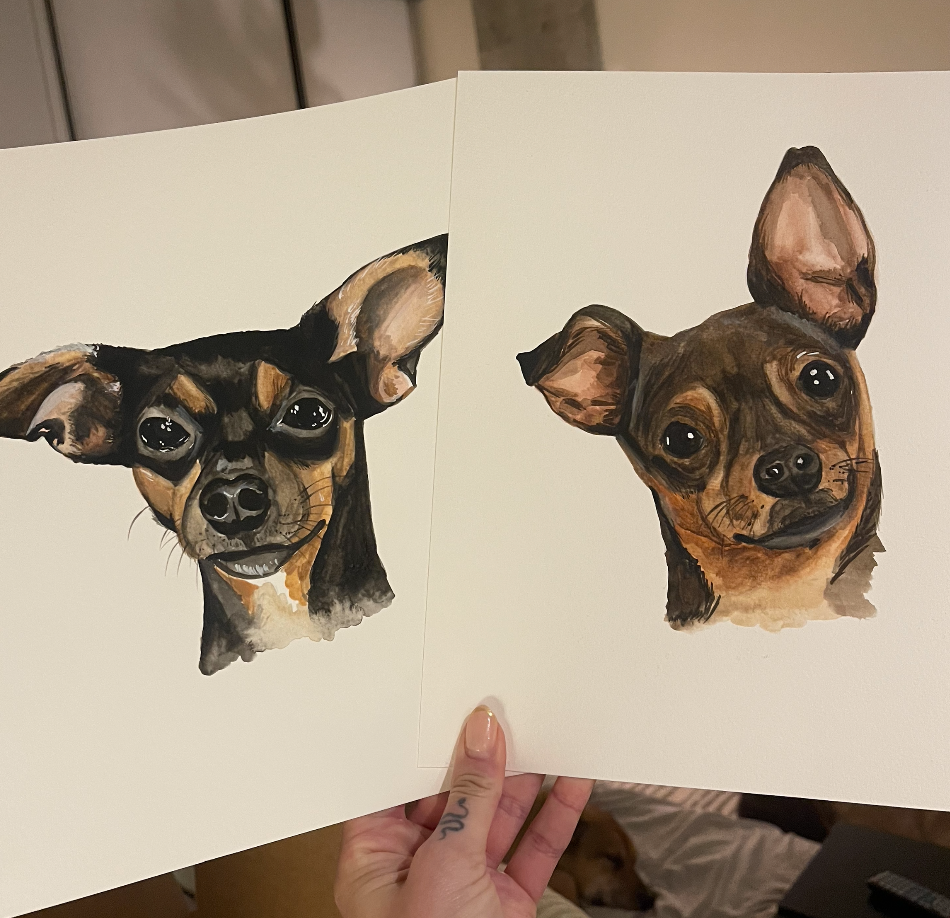 Pet Portraits