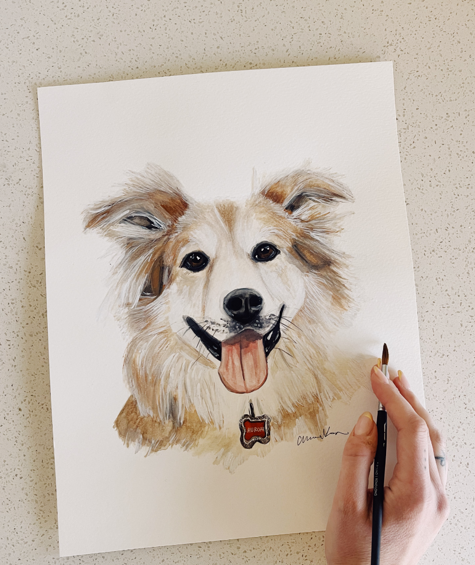 Pet Portraits
