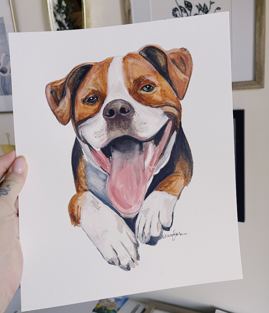 Pet Portraits