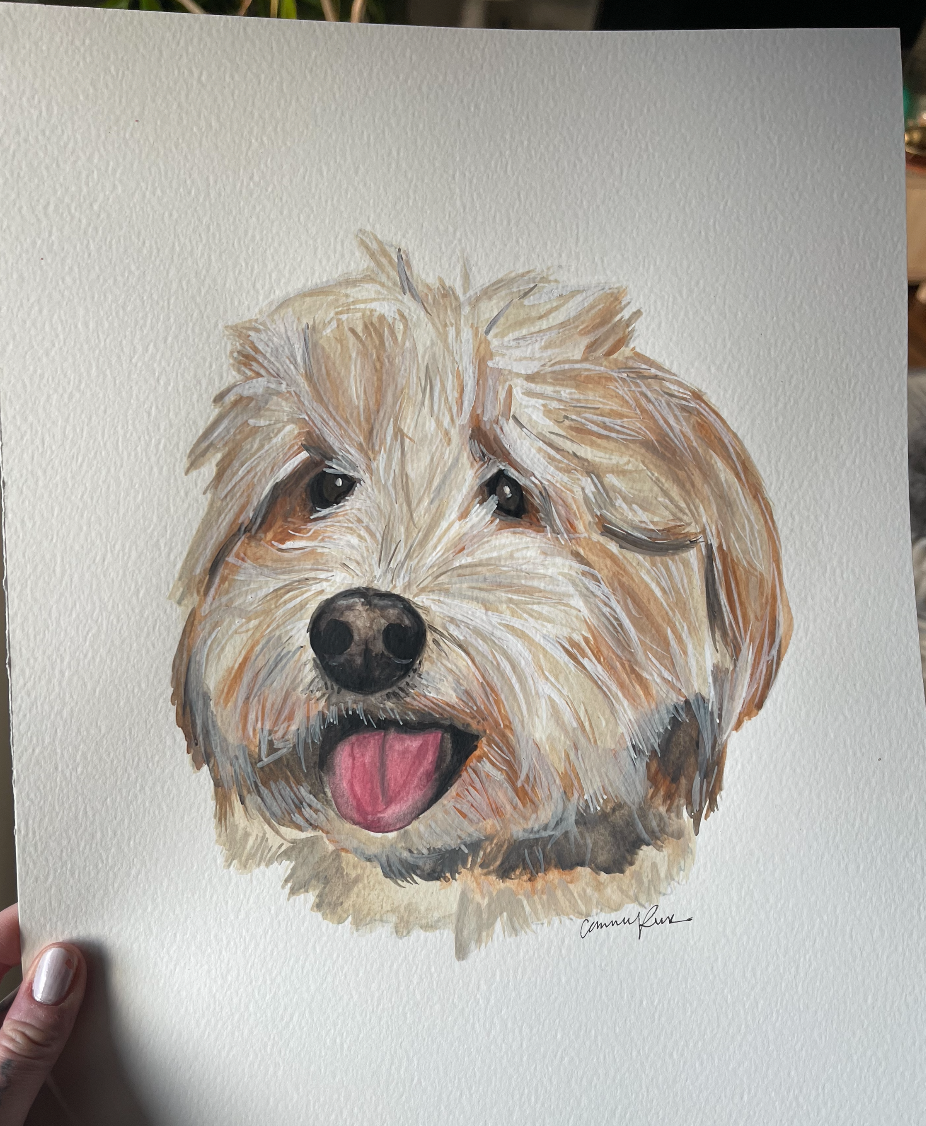 Pet Portraits