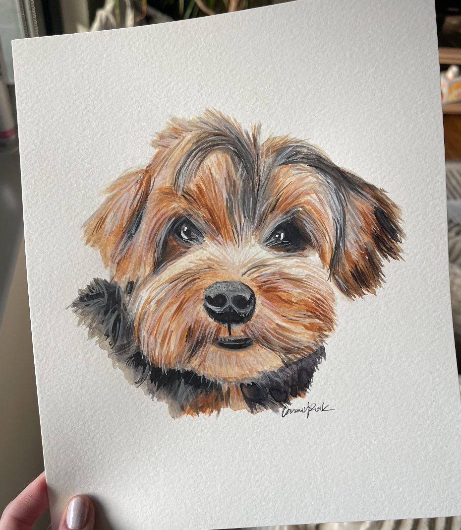 Pet Portraits