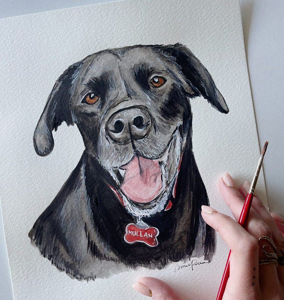 Pet Portraits