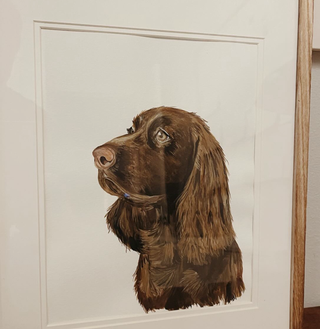 Pet Portraits