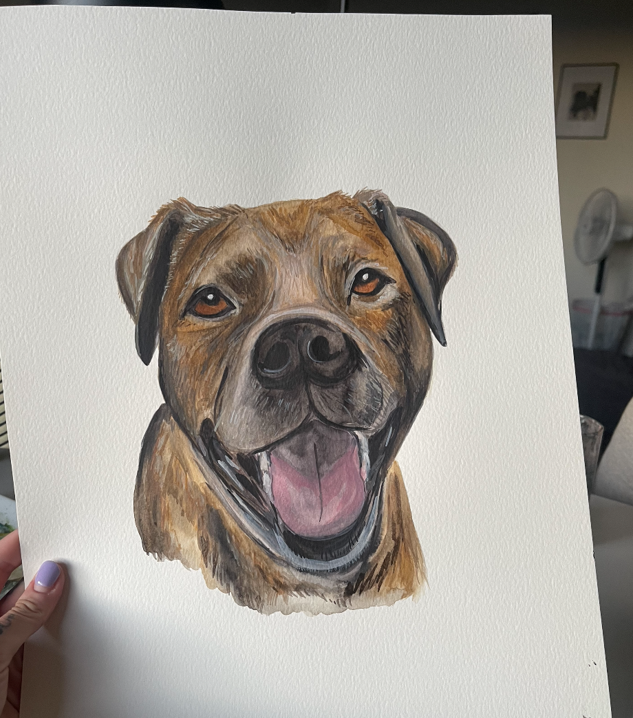 Pet Portraits