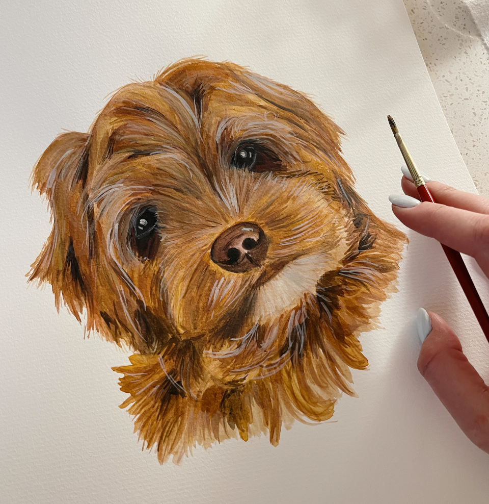 Pet Portraits
