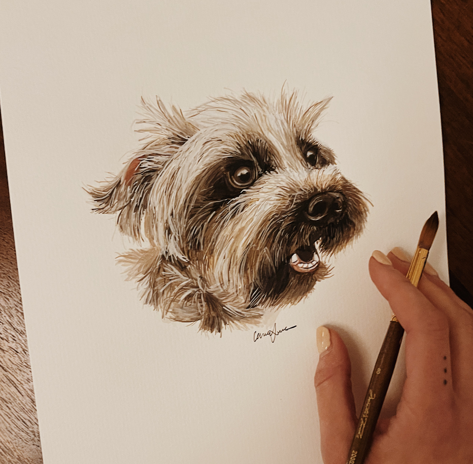 Pet Portraits