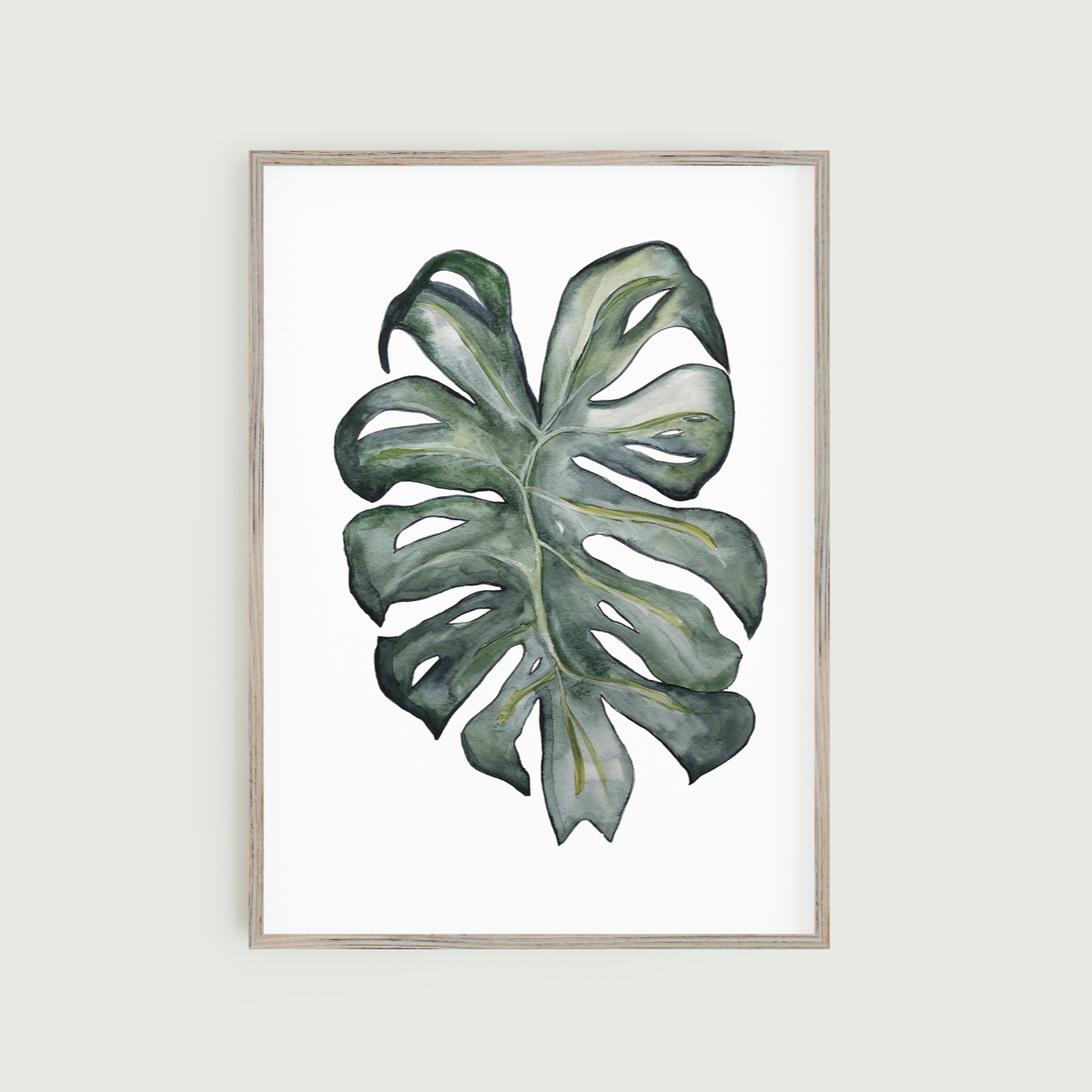 Monstera