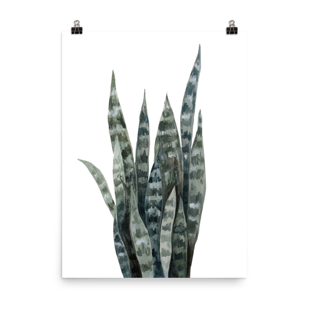 Snake Plant Watercolor Painting